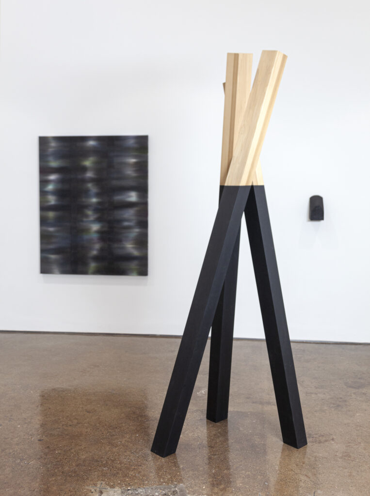 Luce Meunier, Black Matter (duo avec Mathieu Gaudet) - Christie Contemporary, Toronto, 2019
