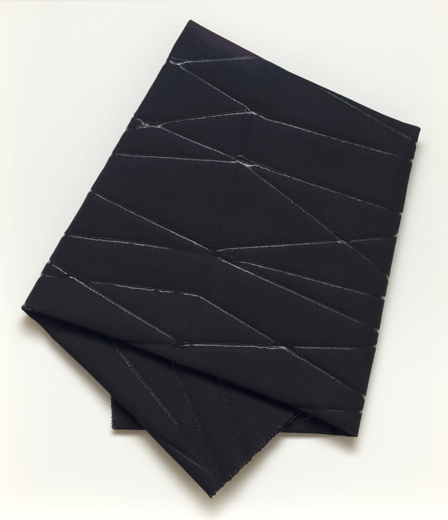 Luce Meunier, Tracer 2, Galerie Antoine Ertaskiran, Montréal, 2013