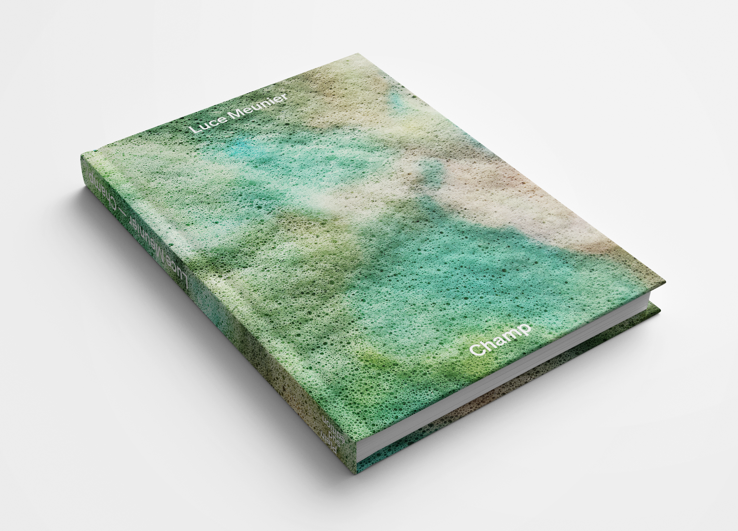 Luce Meunier Monographie à paraître en 2026 Champ, Plein Sud éditions Photo
