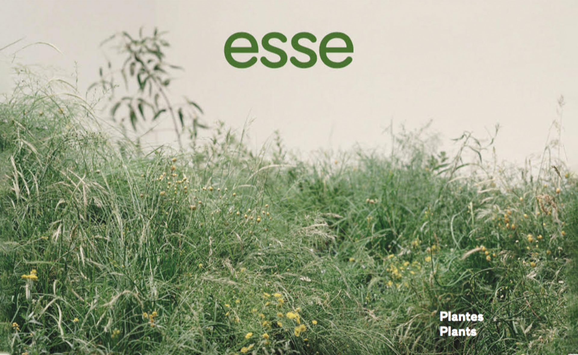 Luce meunier, Anne Roger, Revue critique pour Récit d'un parcours plastique, Esse arts + opinions, Numéro 99: Plantes, 2020